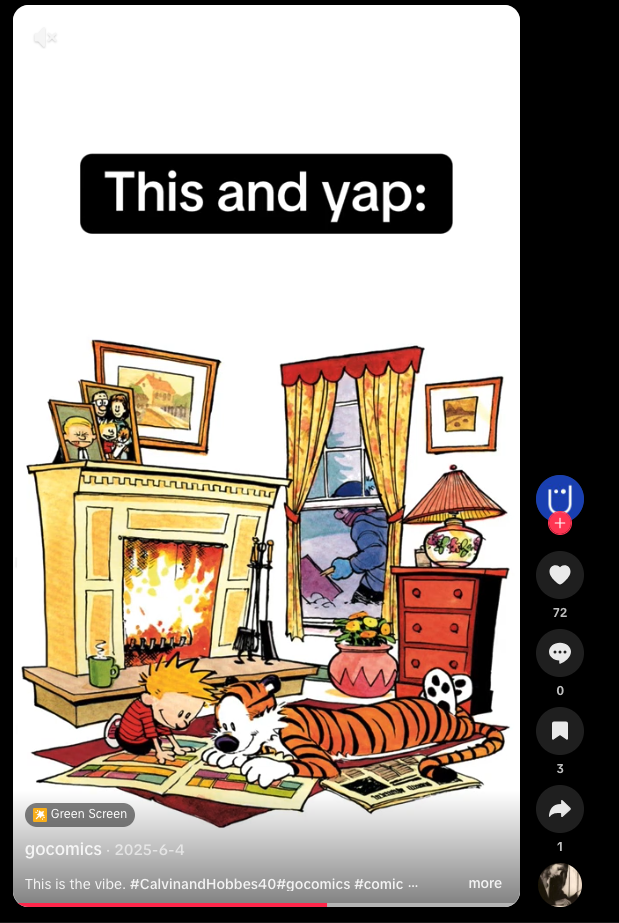 This is the vibe TikTok post